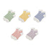 Women's Rainbow Burst Stripe Quarter Socks - LOOUZ